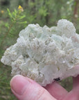 These gorgeous specimens include pieces of translucent apophyllite with little to no matrix and beautiful desert rose inclusions that have inter grown with the apophyllite.