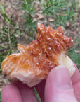 Video shows a specimen piece of vanandite, burnt orange/honey in colour.
