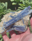 Video shows a specimen piece of blue kyanite in a quartz matrix.
