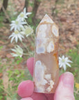 Video shows a polished flower agate generator.