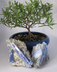 Kyanite- Blue