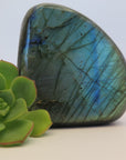 Video shows polished Labradorite free form crystal. The crystal has a lot of colour flash in bluish, yellowish and greenish colours.