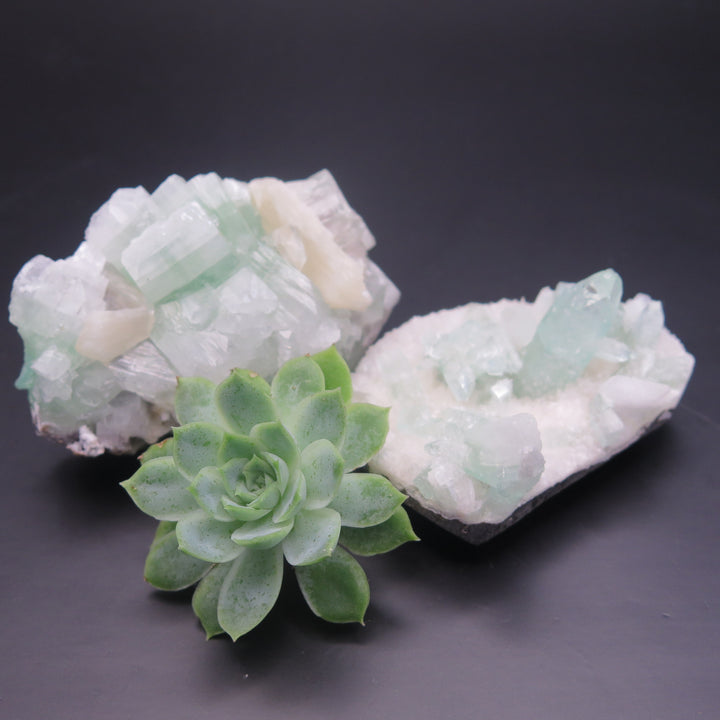 Apophyllite