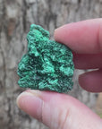 Video shows a specimen piece of fibrous malachite, deep green in colour and clearly showing fibres in the grain of the crystal. 