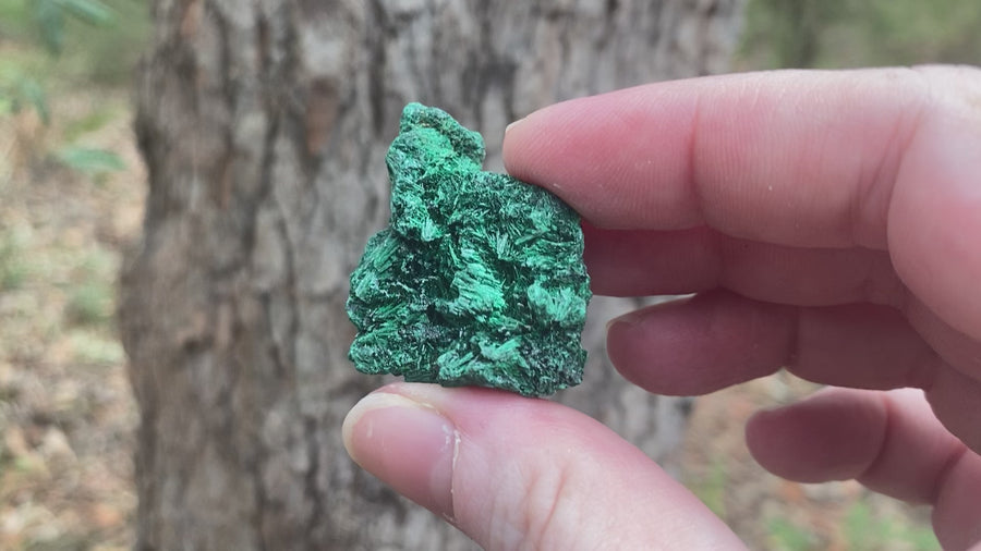 Video shows a specimen piece of fibrous malachite, deep green in colour and clearly showing fibres in the grain of the crystal. 