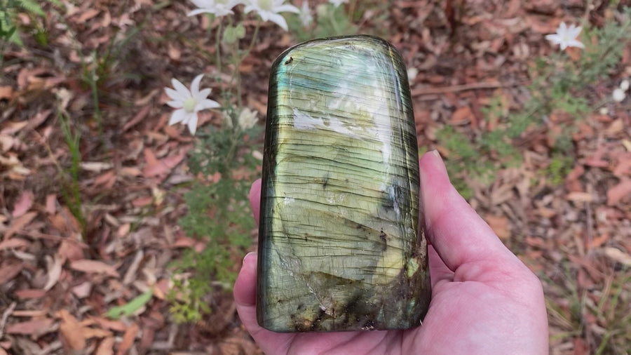 Video shows polished Labradorite free form crystal. The crystal has a lot of  colour flash in bluish, yellowish and greenish colours. 