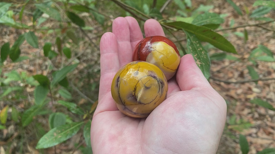 Video of two different Mookaite spheres. one is a deep red colour within and yellow inclusions, the other is a mustard yellow colour with slight burgundy banding. 