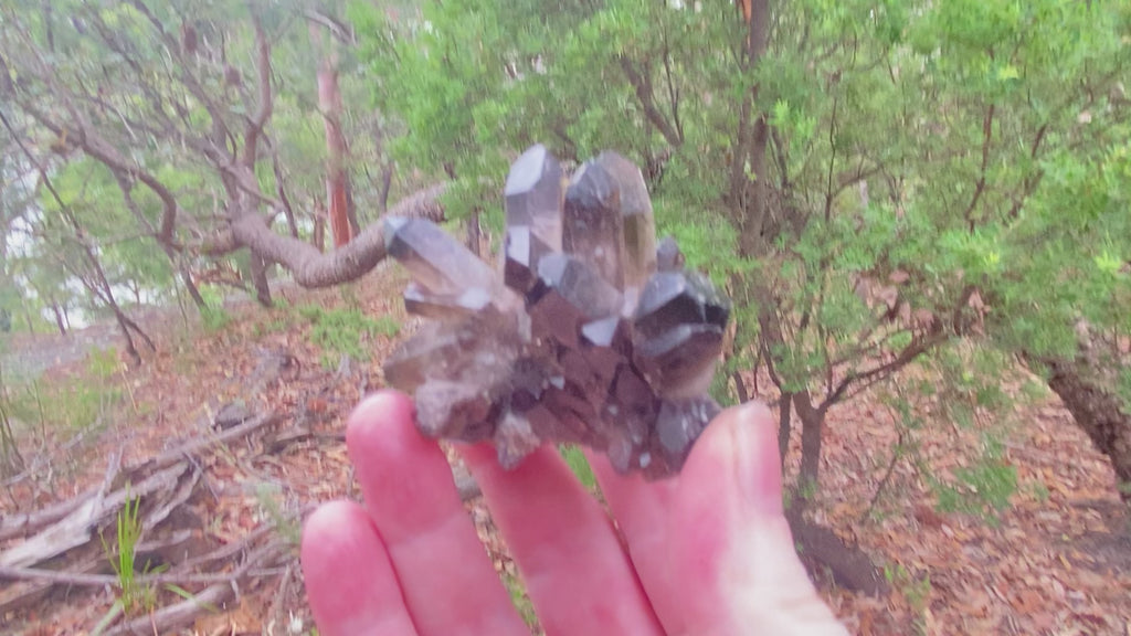 Video shows a smokey quartz cluster with very little matrix. It is blackish to dark grey in colour with translucent crystals. 