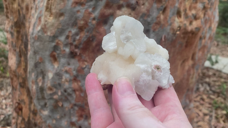 Video shows a specimen piece of Stilbite and Apophylite. 