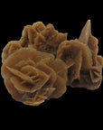 Desert Rose (Gypsum)