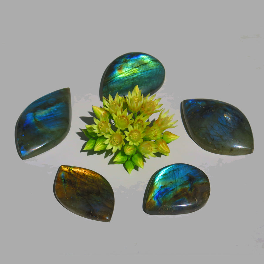 Image shows 5 Labradorite cabochons all with spectacular colour flash ranging from blue, green, blue and orange. 