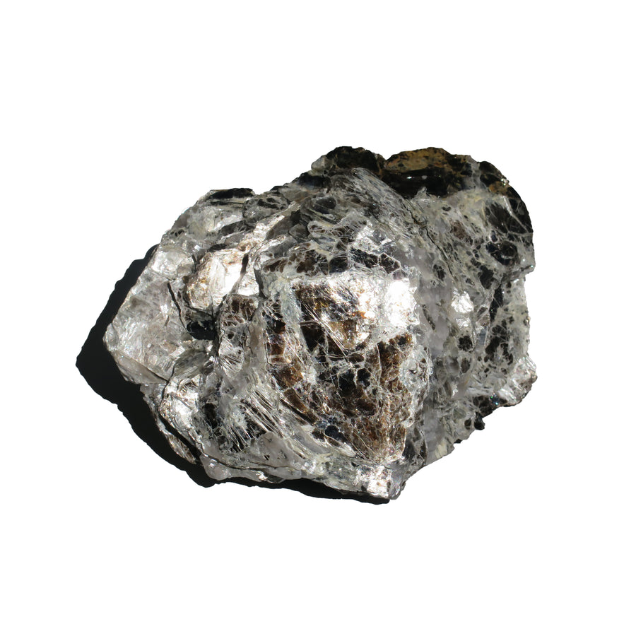 Specimen - Mica/Biotite