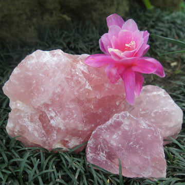 Rose Quartz - Rough