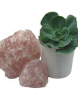 Rose Quartz - Rough