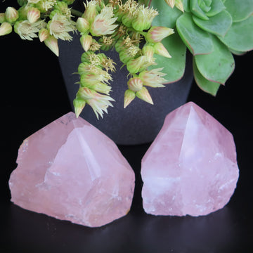 Image shows two top polished rose quartz generators, a beautiful  soft pink in colour. 