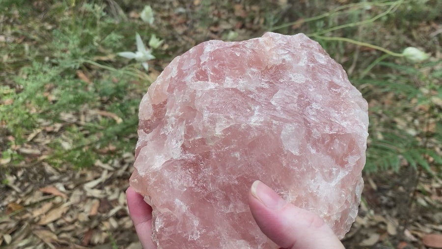 Video shows a large chunk of rough rose quartz, medium pink in colour and weighing 1.7kg. 