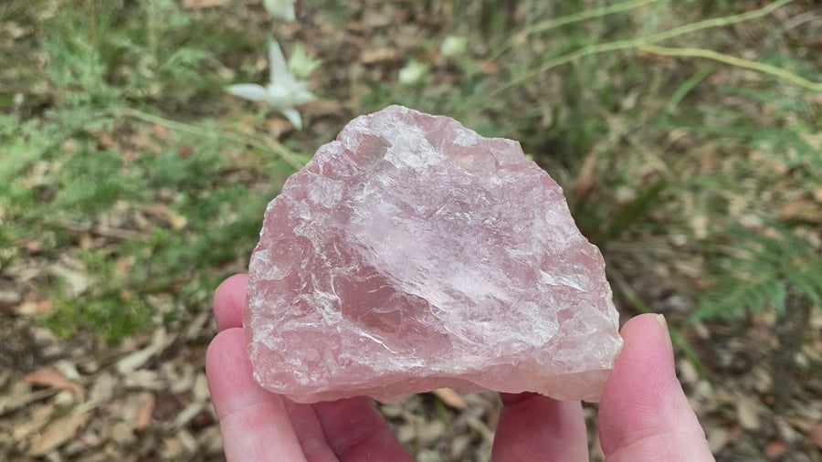 These unpolished Rose Quartz chunks are a beautiful gemmy quality, lovely for the home or garden. Available in various sizes, price is based on size. 