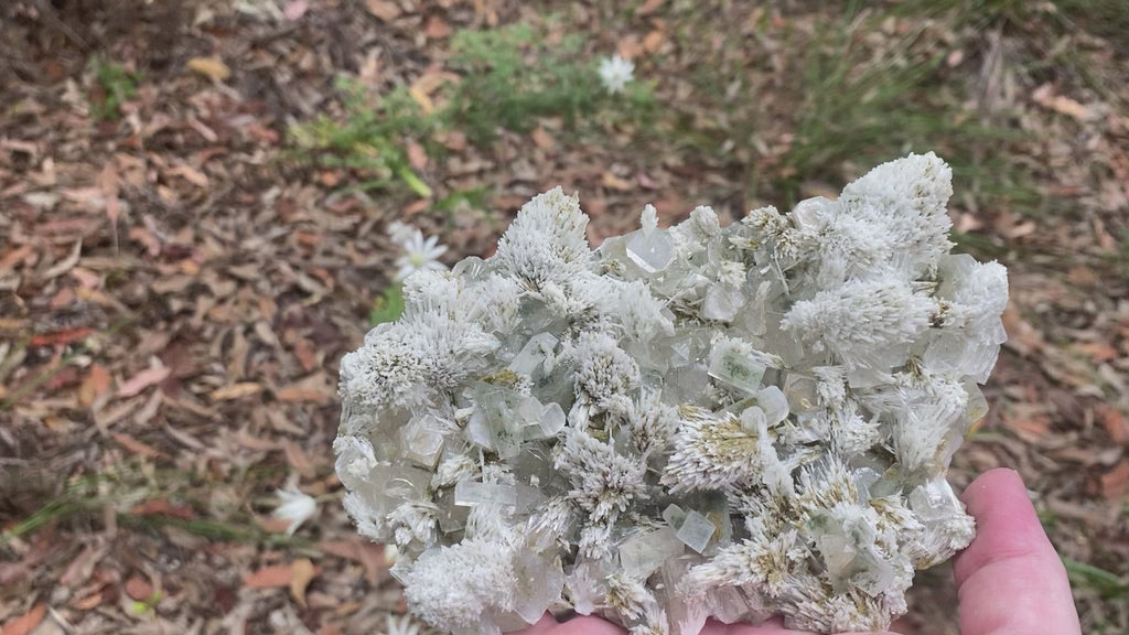 Video shows a specimen piece of an apophyllite cluster with desert rose (gypsum) inclusions. 