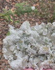 Video shows a specimen piece of an apophyllite cluster with desert rose (gypsum) inclusions. 