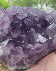 Video shows an amethyst cluster purple in colour with large points. 