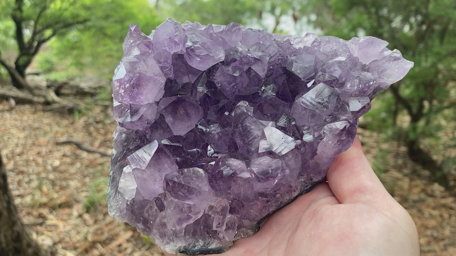 Video shows an amethyst cluster purple in colour with large points. 