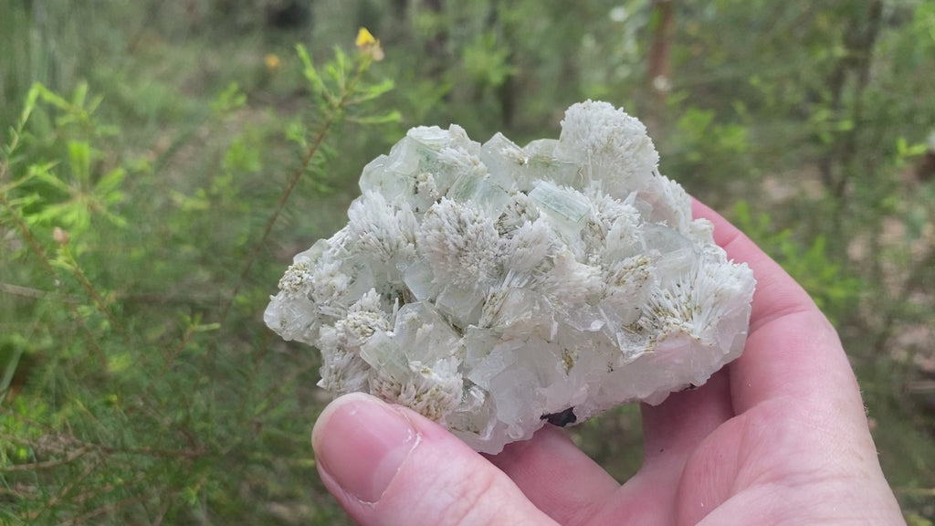 These gorgeous specimens include pieces of translucent apophyllite with little to no matrix and beautiful desert rose inclusions that have inter grown with the apophyllite.   