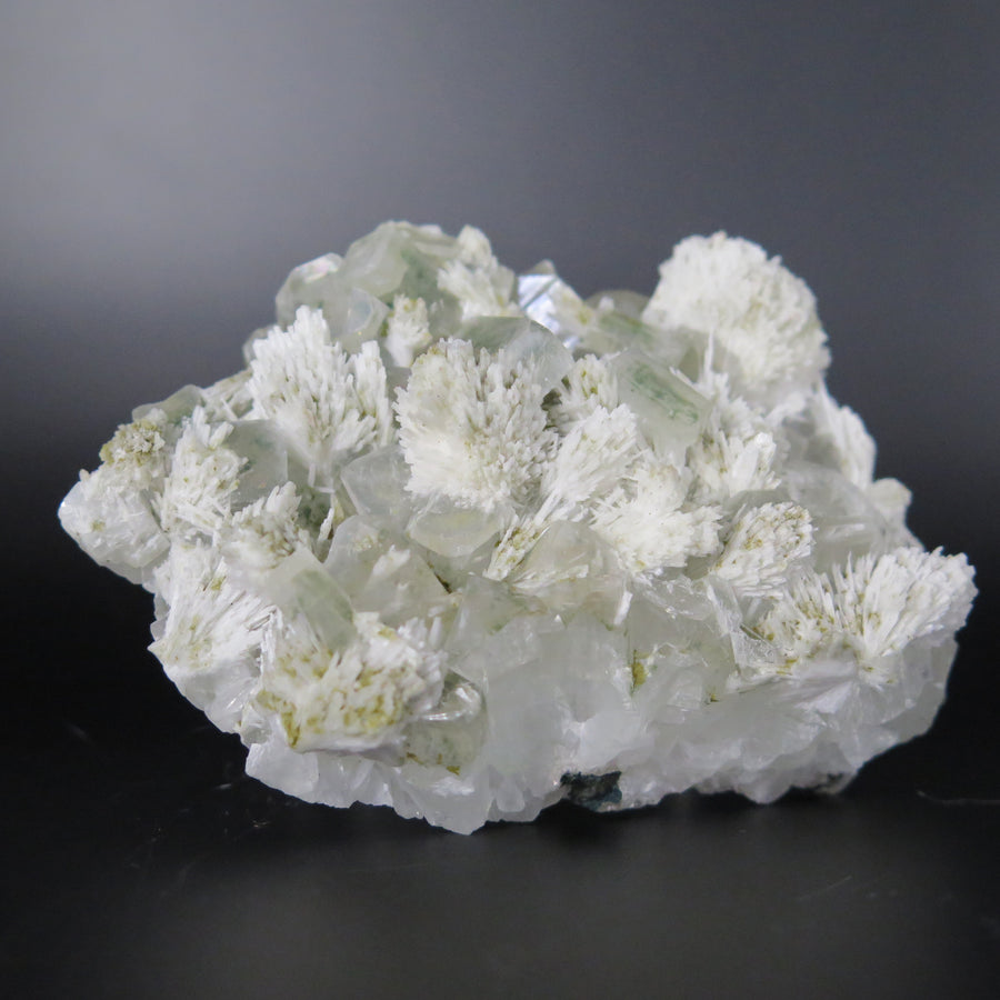 Image shows a specimen piece of an apophyllite cluster with desert rose (gypsum) inclusions. 