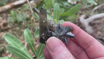 A specimen piece, perfect for collectors.  Well-formed Smoky Quartz Crystal with Aegirine