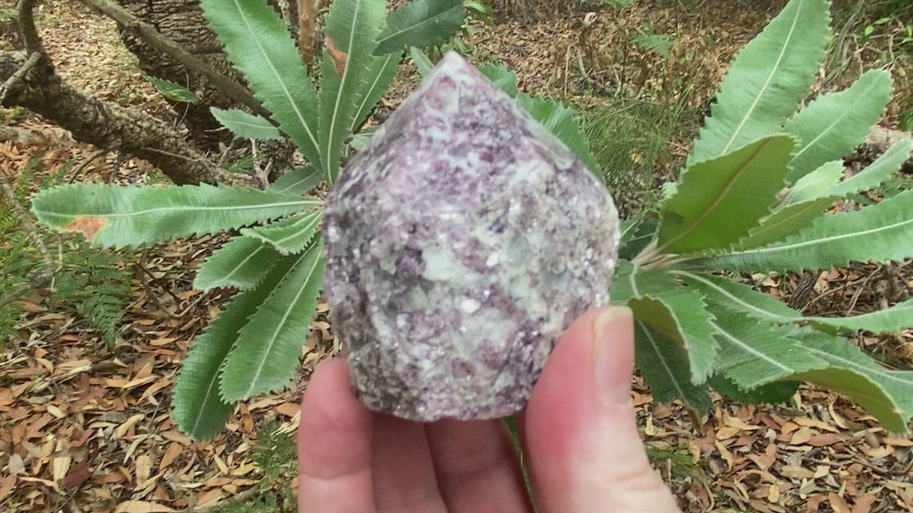 Video shows a top polished Lepidolite generator, the base is rough and the top has been polished into a six sided point. Pale purple in colour with white flecks throughout. 