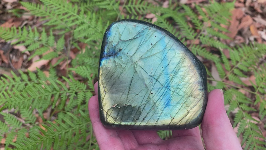 Video shows polished Labradorite free form crystal. The crystal has a lot of  colour flash in bluish, yellowish and greenish colours. 