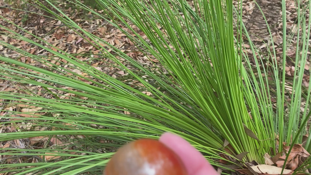 Video shows a carnelian sphere, burnt orange and banded with a lighter orange. 