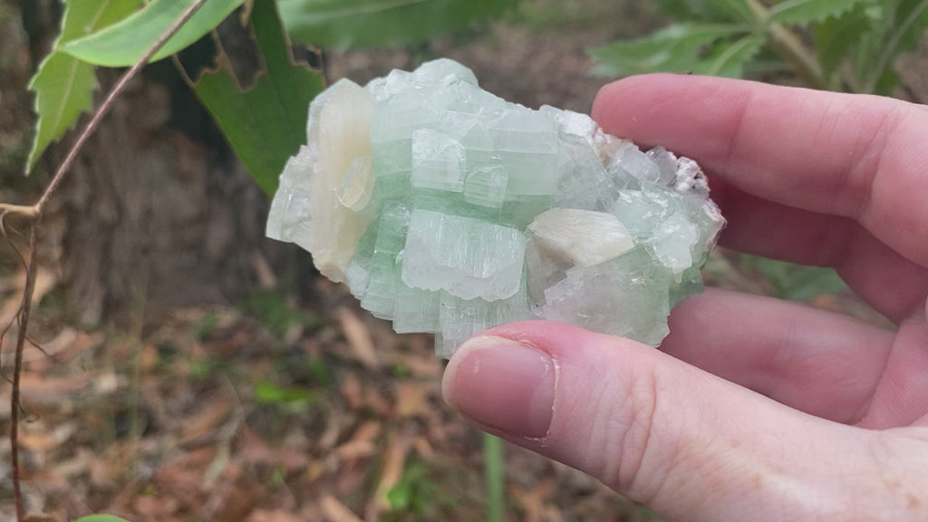 Video shows a piece of green apophyllite with some stilbite inclusions. 