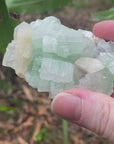 Video shows a piece of green apophyllite with some stilbite inclusions. 