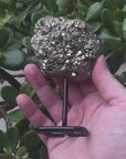 Pyrite on stand