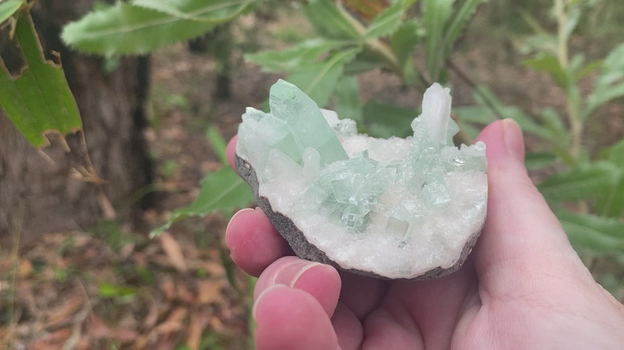 Video shows a piece of green apophyllite, palm sized in size. 