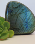 Video shows polished Labradorite free form crystal. The crystal has a lot of  colour flash in bluish, yellowish and greenish colours. 