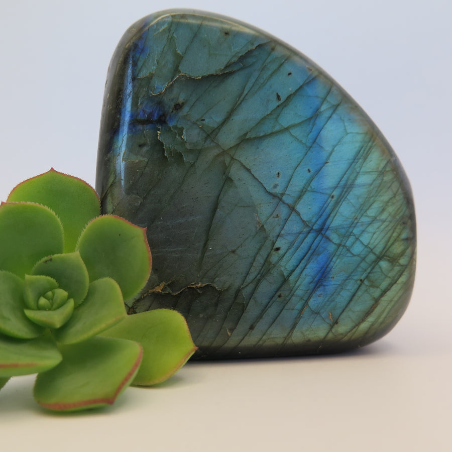 Video shows polished Labradorite free form crystal. The crystal has a lot of  colour flash in bluish, yellowish and greenish colours. 