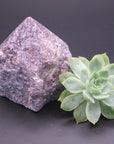 Lepidolite- Top Polished Generator