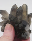 Image shows a smokey quartz cluster with very little matrix. It is blackish to dark grey in colour with translucent crystals. 