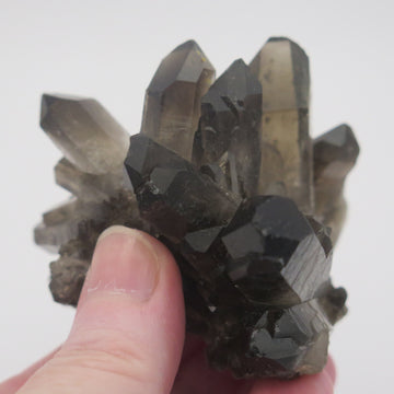 Image shows a smokey quartz cluster with very little matrix. It is blackish to dark grey in colour with translucent crystals. 