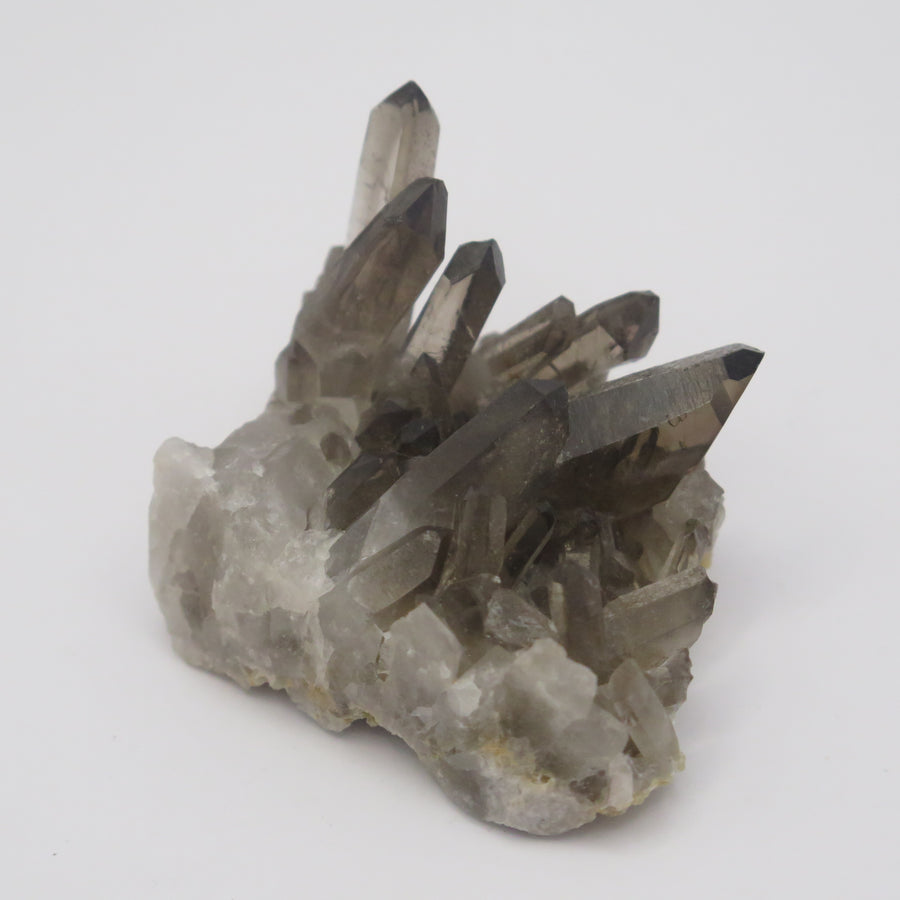 Image shows a smokey quartz cluster with very little matrix. It is blackish to dark grey in colour with translucent crystals. 