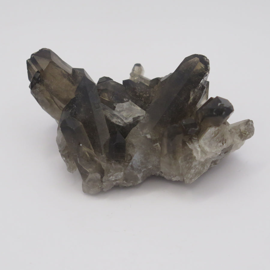 Image shows a smokey quartz cluster with very little matrix. It is blackish to dark grey in colour with translucent crystals. 