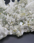 Image shows a specimen piece of an apophyllite cluster with desert rose (gypsum) inclusions. 