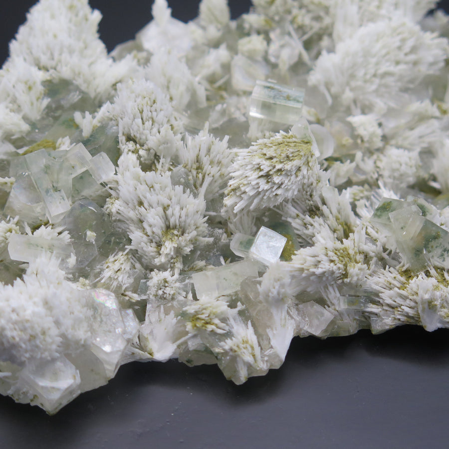 Image shows a specimen piece of an apophyllite cluster with desert rose (gypsum) inclusions. 