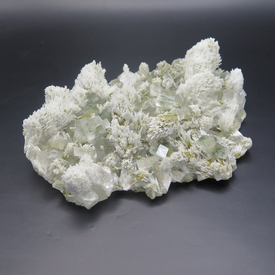 Image shows a specimen piece of an apophyllite cluster with desert rose (gypsum) inclusions. 